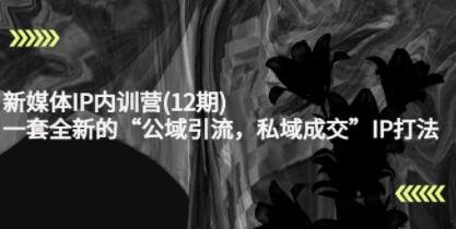 《新媒体IP内训营12期》一套全新的“公域引流,私域成交”IP打法,直接带走-渡漳网