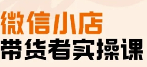 微信小店带货实操课，基础操作到高级运营技巧-渡漳网