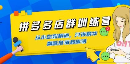 《拼多多店群训练营》从小白到精通,只讲精华-渡漳网