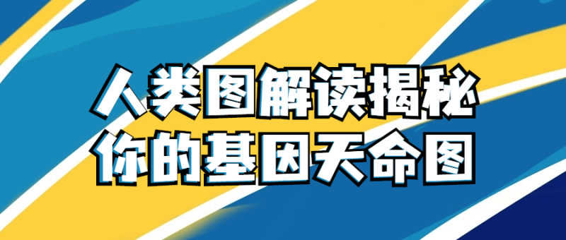 人类图解读揭秘你的基因天命图-渡漳网