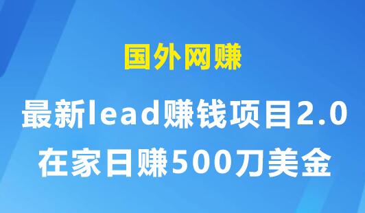 国外网赚：最新lead赚钱项目2.0，在家日赚500刀美金-渡漳网