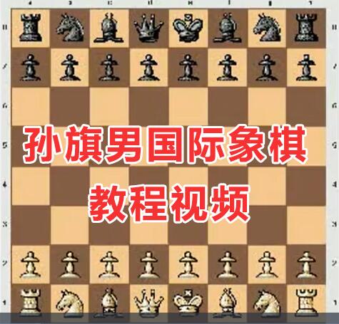 孙旗男国际象棋教程，100集象棋入门教程从零开始教学视频-渡漳网