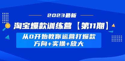 《淘宝爆款训练营第11期》 从0开始教你运营打爆款,方向+实操+放大-渡漳网