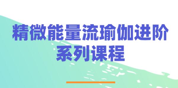 精微能量《流瑜伽》视频教程，练习进阶培训课程-渡漳网