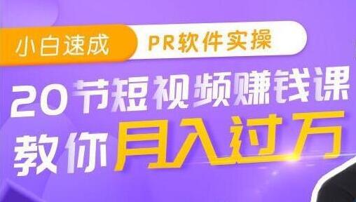小白速成PR软件实操教学：20节短视频赚钱课，教你月入过万-渡漳网