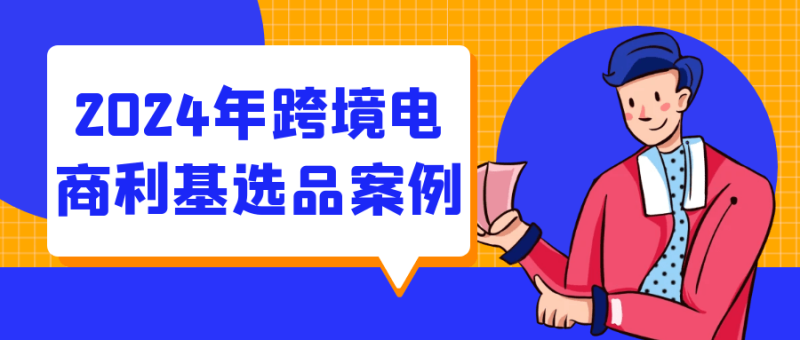 2024年跨境电商利基选品案例-渡漳网