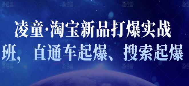 凌童《淘宝新品打爆实战班》直通车起爆、搜索起爆-渡漳网