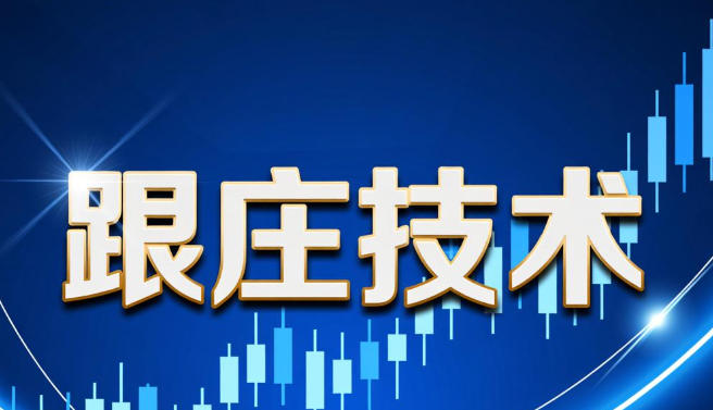 辉哥-跟庄技术,三重滤网交易技术-渡漳网