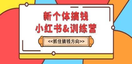 《新个体搞钱小红书训练营》实战落地运营方法-渡漳网