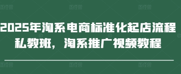 淘系电商标准化起店流程私教班，淘系推广视频教程-渡漳网