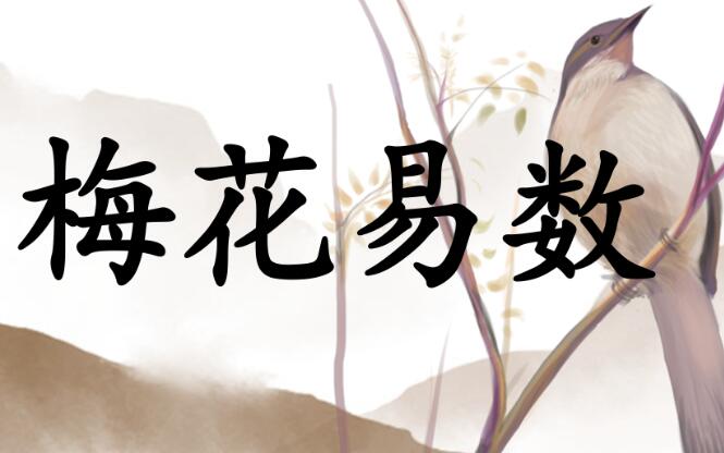 青衫道人《梅花易数》视频17集-渡漳网