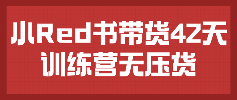 小Red书带货42天训练营无压货-渡漳网