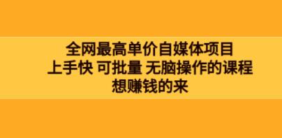 《高客单价自媒体项目》上手快 可批量 无脑操作的课程,想赚钱的来-渡漳网