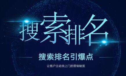 王通SEO《搜索排名引爆点》教你快速掌握各个搜索引擎排名算法-渡漳网