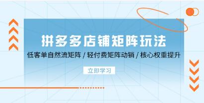 《拼多多店铺矩阵玩法 》低客单自然流矩阵/轻付费矩阵动销/核心权重提升-渡漳网