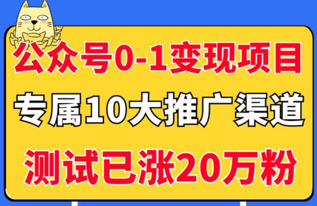 《5个公众号从0-1变现项目》公众号专属10大推广渠道，测试已涨20万粉！-渡漳网