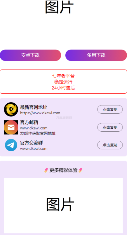 2024首发最火的软件宣传单页源码-渡漳网