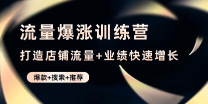 《流量爆涨训练营》打造店铺流量+业绩快速增长 (爆款+搜索+推荐)-渡漳网