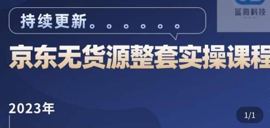 蓝七《京东店群整套实操视频教程》京东无货源整套操作流程教学-渡漳网