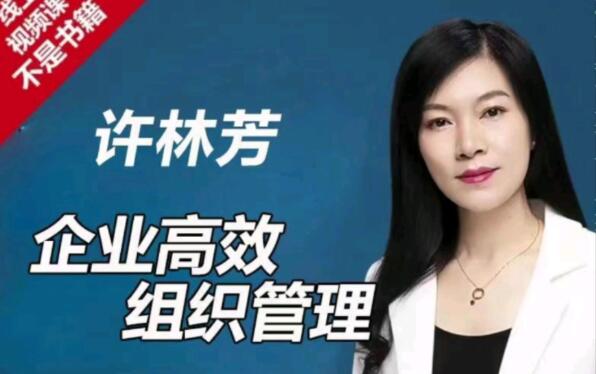 许林芳《企业高效组织管理》课程视频-渡漳网