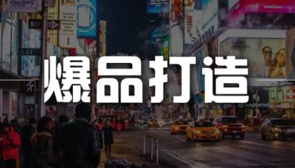 金错刀《爆品营销》快速引爆的方法和案例-渡漳网