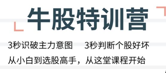 无为李栋炒股技巧《牛股特训营》从小白到选股高手讲座视频-渡漳网