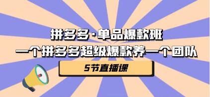 《拼多多单品爆款班》打造策略，爆单的实操玩法教学-渡漳网