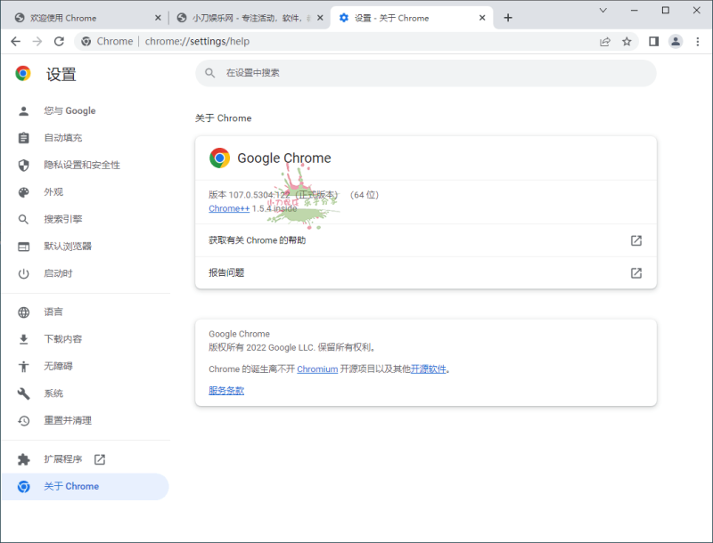 Google Chrome v148.0.7778.97便携增强版-渡漳网