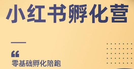 小红书撸金项目，教你如何快速起号获得曝光，做到月躺赚在3000+-渡漳网