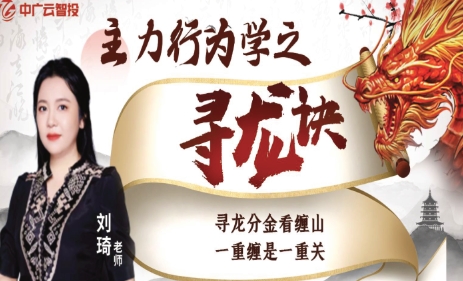 刘琦-高阶课《主力行为学之寻龙诀》系统课-渡漳网