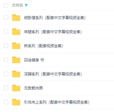 囚徒健身视频教程-渡漳网