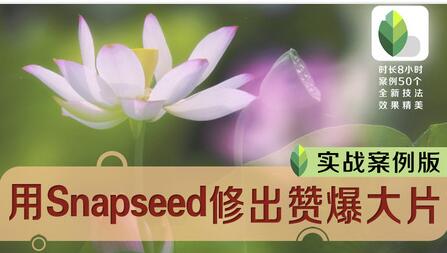 Snapseed教程视频《80节精品课精通Snapseed手机修片》-渡漳网
