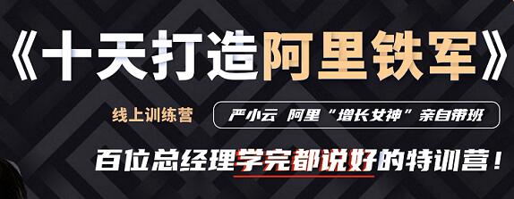 严小云销售特训营《十天快速打造阿里铁军》百位总经理学完都说好-渡漳网