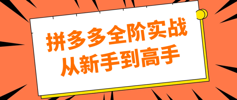 拼多多全阶实战从新手到高手-渡漳网