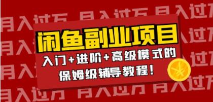 《月入过万闲鱼副业项目》入门+进阶+高级模式的保姆级辅导教程!-渡漳网