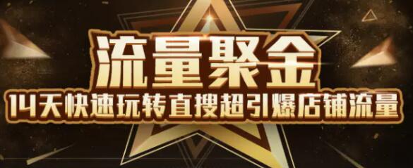 淘宝大学：流量聚金14天快速玩转直搜，超引爆店铺流量，价值8800元-渡漳网