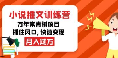 《小说推文训练营》万年常青树项目,抓住风口,快速变现月入过万-渡漳网
