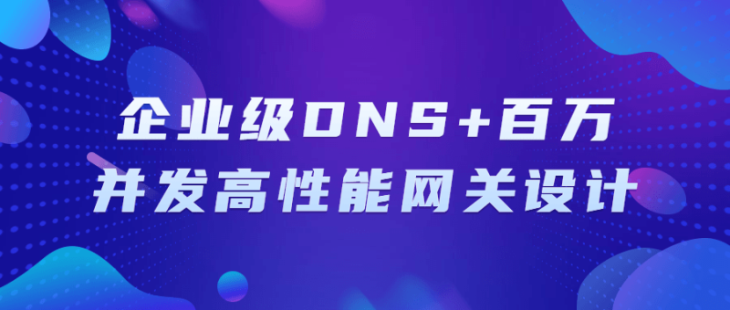 企业级DNS+百万并发高性能网关设计-渡漳网