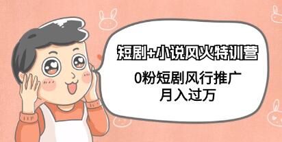 《短剧+小说风火特训营》0粉短剧风行推广，月入过万-渡漳网