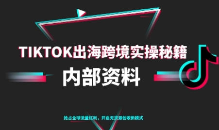 TikTok跨境电商0-1搭建运营，TK出海跨境实操秘籍-渡漳网