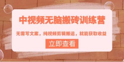 《中视频无脑搬砖训练营》无需写文案，纯视频剪辑搬运，就能获取收益！-渡漳网