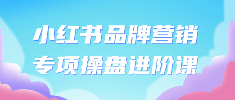 小红书品牌营销专项操盘进阶课-渡漳网