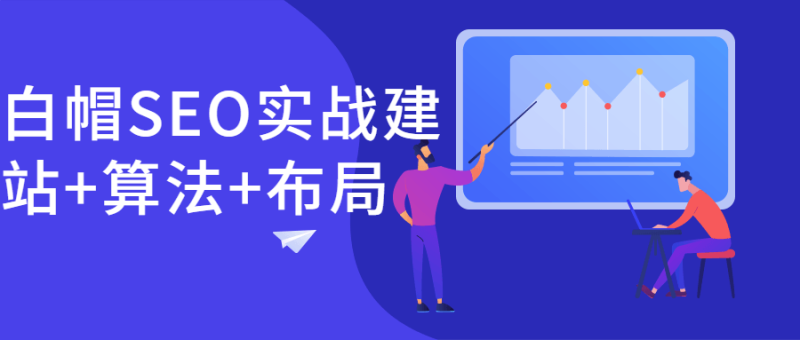 白帽SEO实战建站+算法+布局-渡漳网