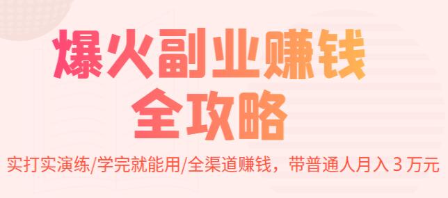 《爆火副业赚钱全攻略》实打实演练,学完就能用,带普通人月入3万元-渡漳网