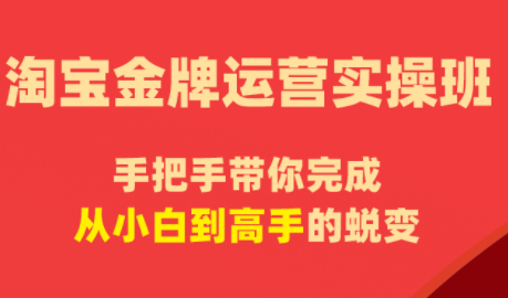飓风电商淘宝金牌运营实操班-渡漳网