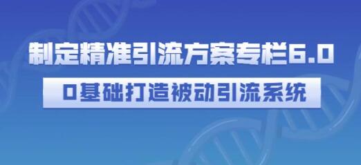 《制定精准引流方案专栏6.0》0基础打造被动引流系统-渡漳网