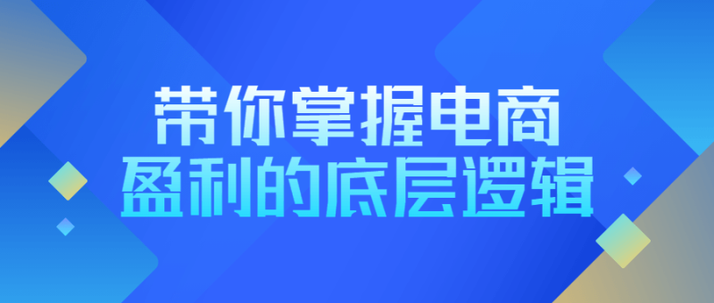 带你掌握电商盈利的底层逻辑-渡漳网