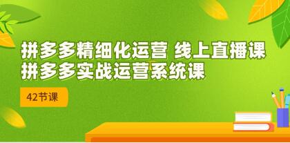 《拼多多精细化运营》拼多多实战运营系统课-渡漳网