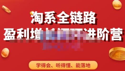 《淘系全链路盈利增长闭环进阶营》融合全店动销，7天玩转盈利增长核心逻辑-渡漳网
