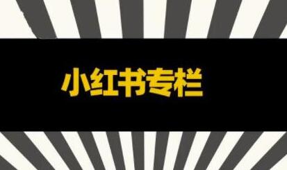 品牌医生《小红书全链营销干货》5个起盘案例，营销策略规划，避坑指南-渡漳网